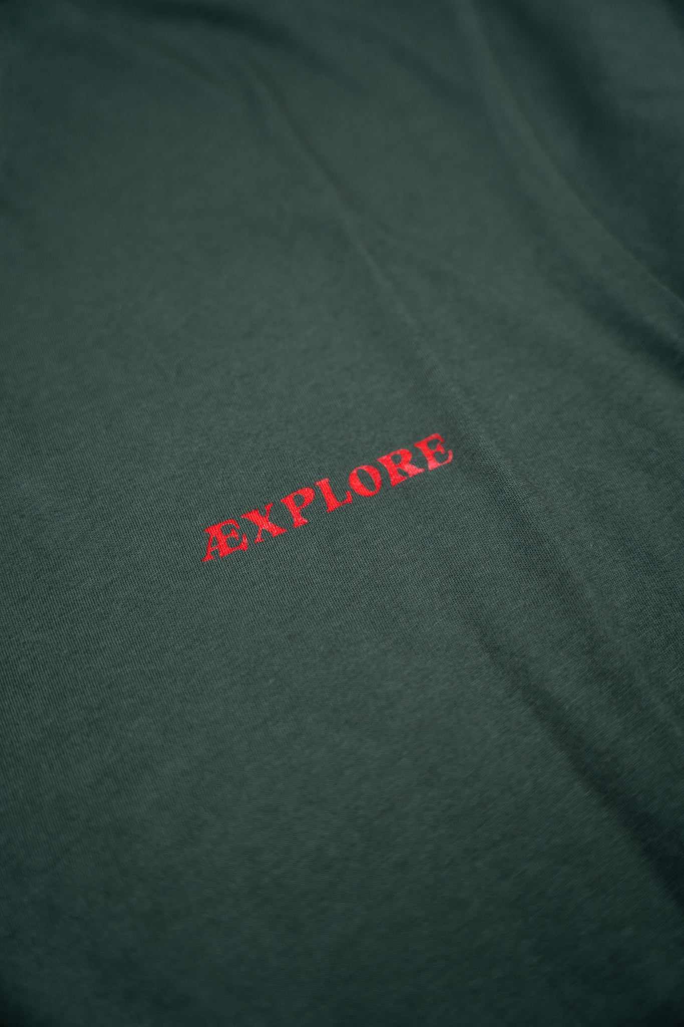 Bear Burrito T-Shirt - Green Gables - LAB10streetwear