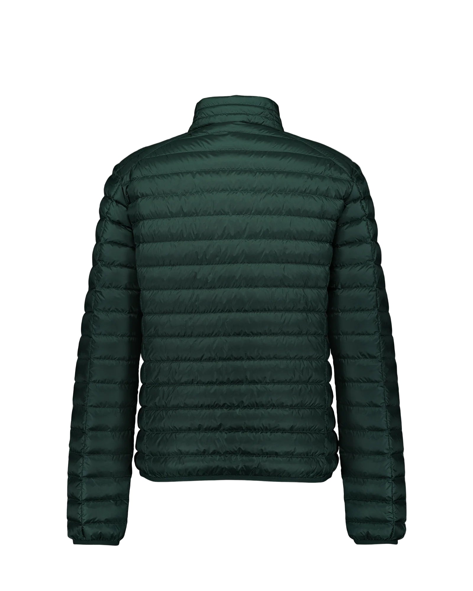 Mat Donsjas - Deep Forest - LAB10streetwear